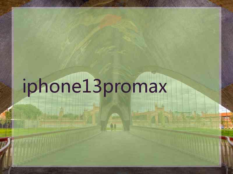 iphone13promax