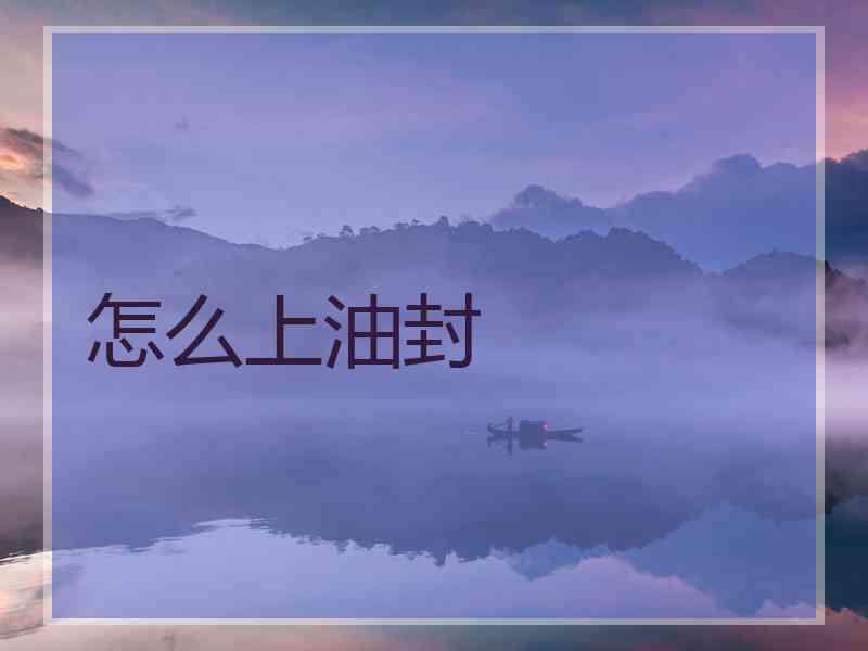 怎么上油封