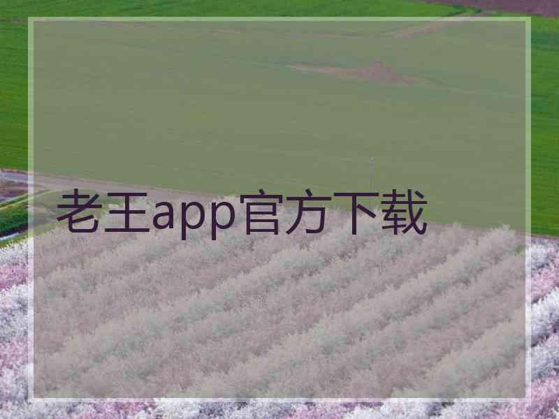 老王app官方下载