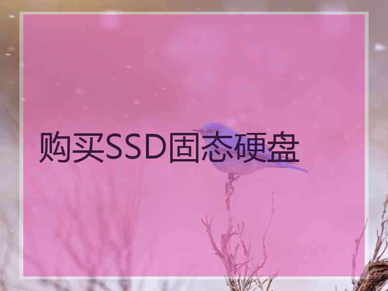 购买SSD固态硬盘