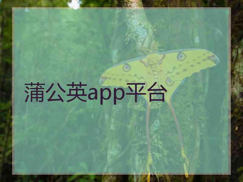 蒲公英app平台