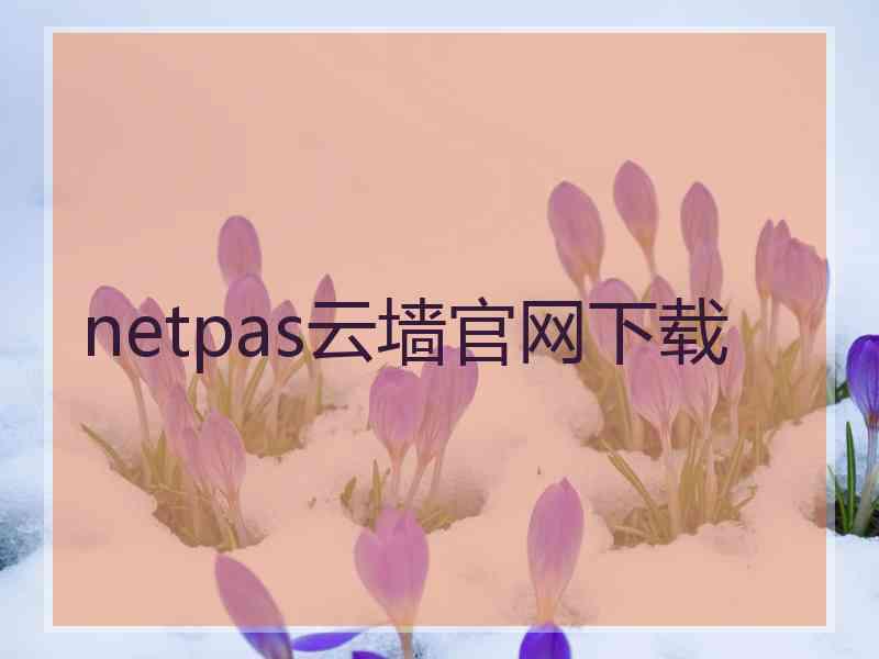 netpas云墙官网下载