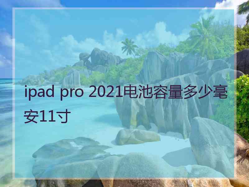 ipad pro 2021电池容量多少毫安11寸