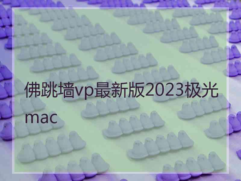 佛跳墙vp最新版2023极光 mac