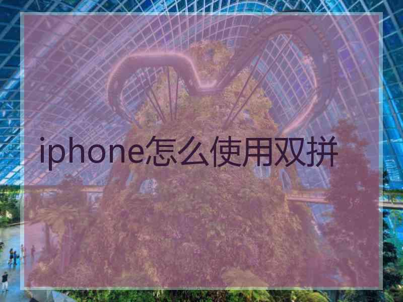 iphone怎么使用双拼