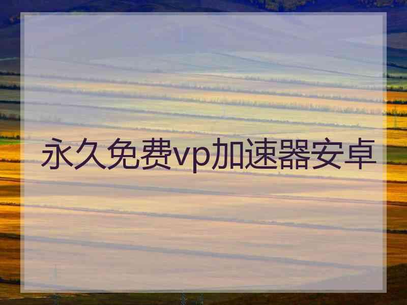 永久免费vp加速器安卓