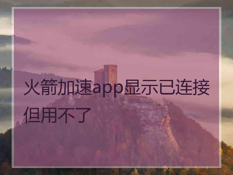 火箭加速app显示已连接但用不了