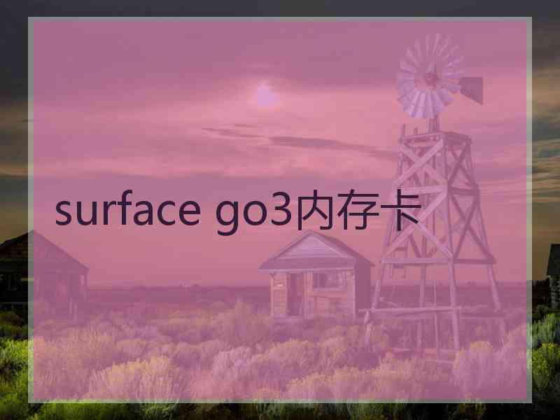 surface go3内存卡