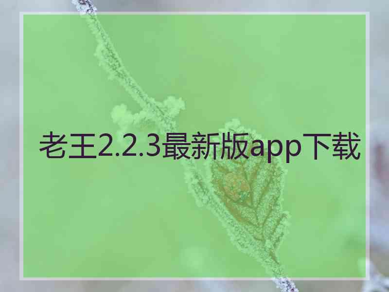 老王2.2.3最新版app下载