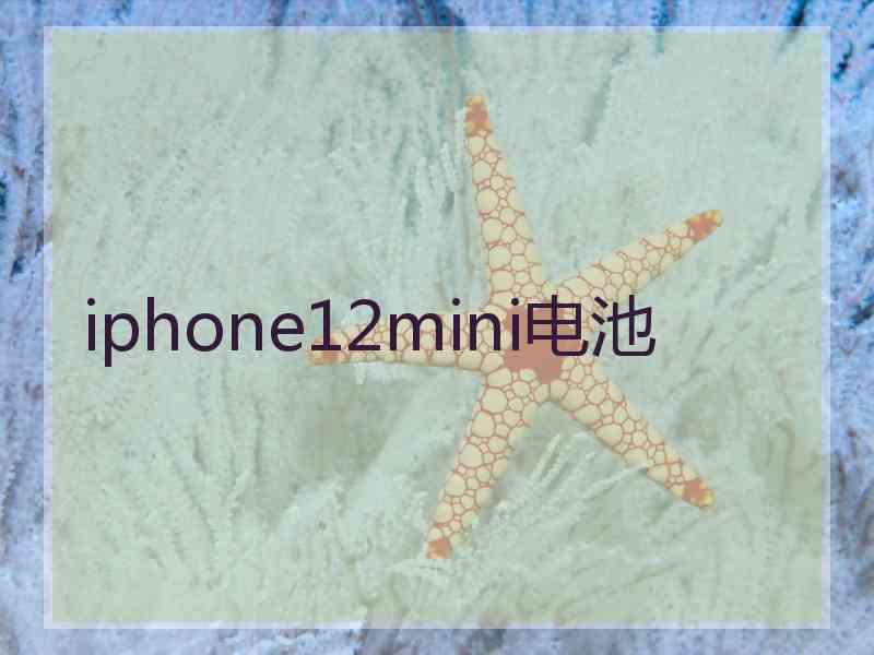 iphone12mini电池