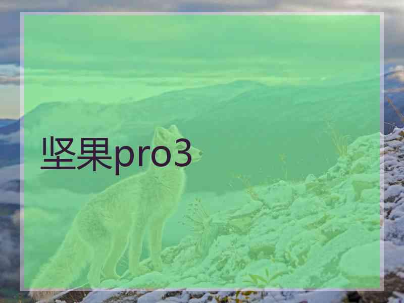 坚果pro3