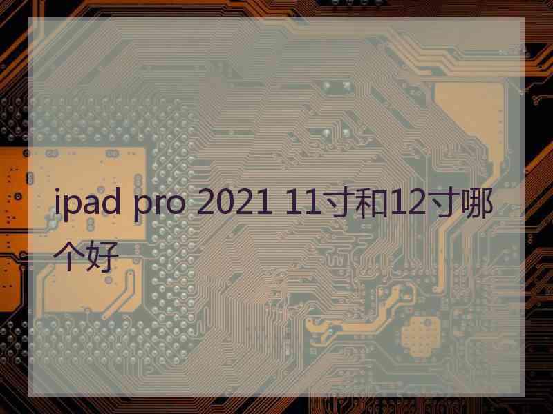 ipad pro 2021 11寸和12寸哪个好