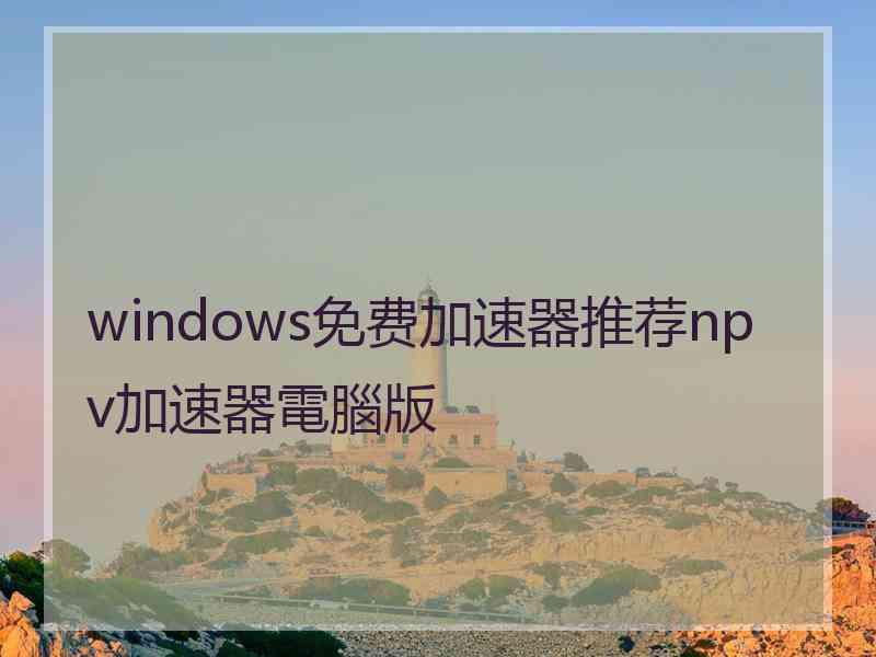 windows免费加速器推荐npv加速器電腦版