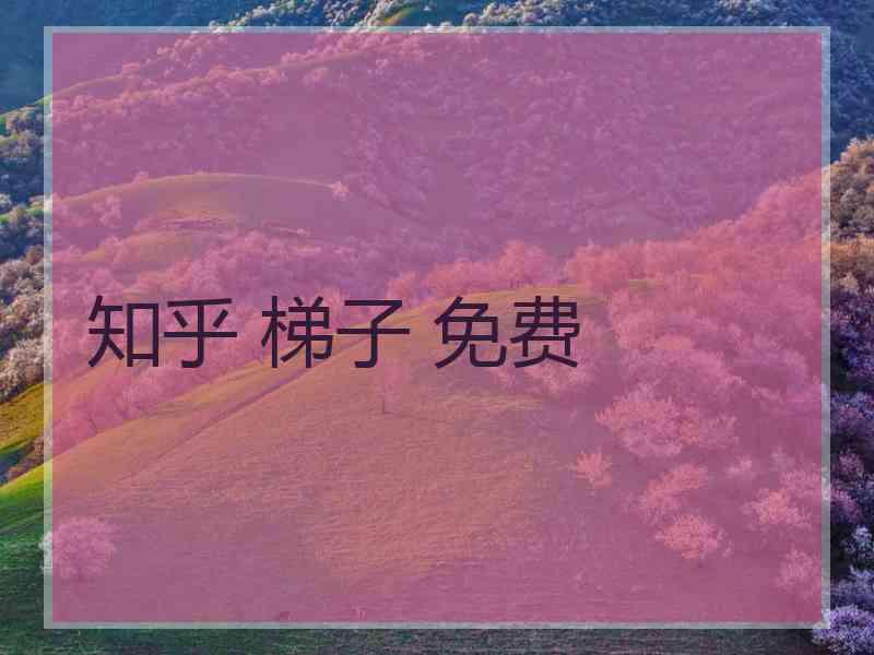 知乎 梯子 免费