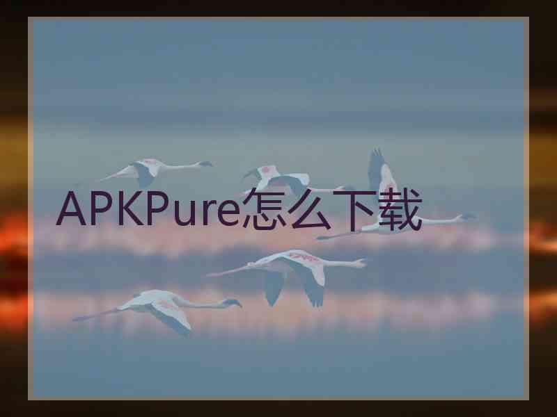 APKPure怎么下载