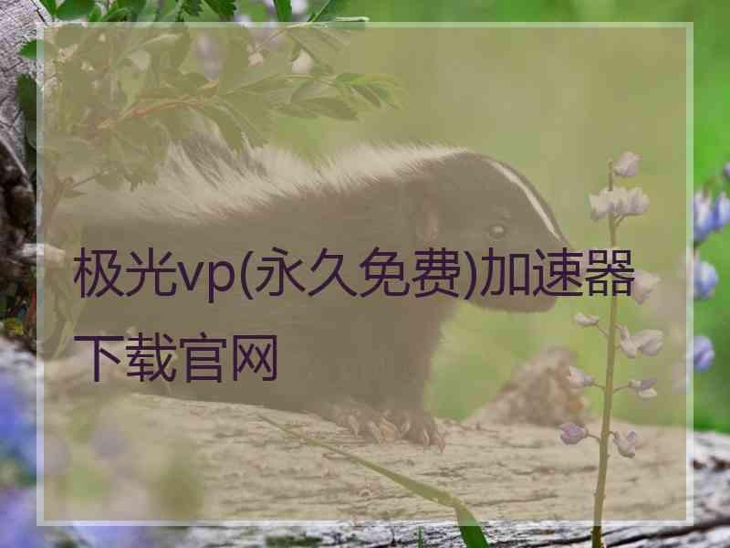 极光vp(永久免费)加速器下载官网