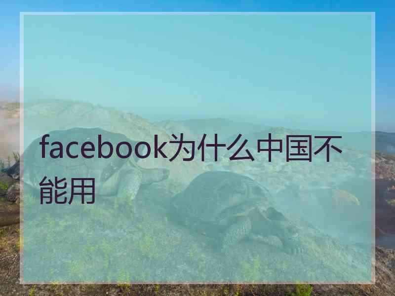 facebook为什么中国不能用