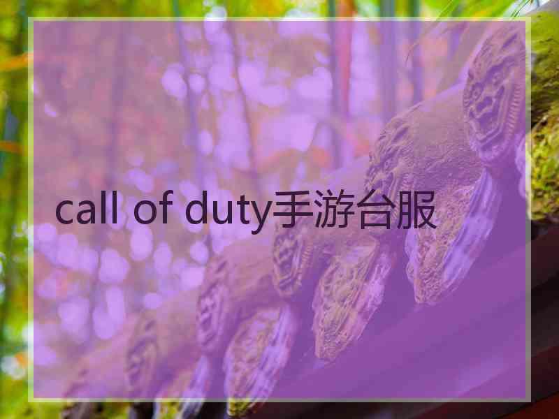 call of duty手游台服