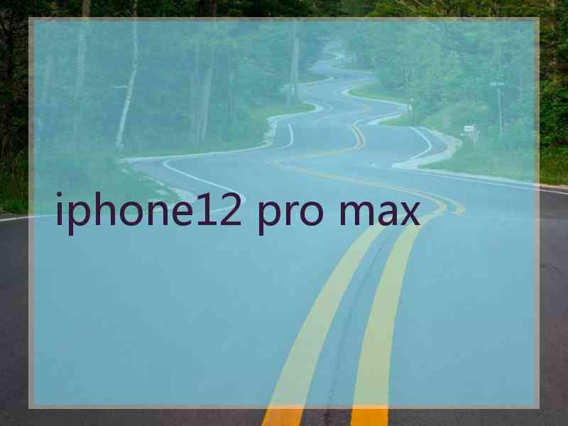 iphone12 pro max