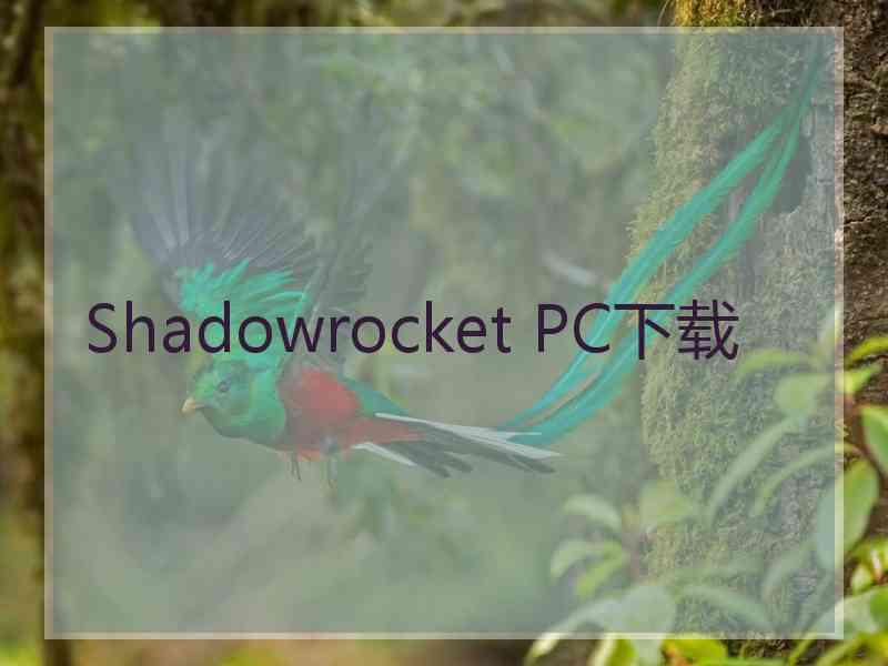 Shadowrocket PC下载