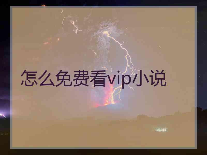 怎么免费看vip小说