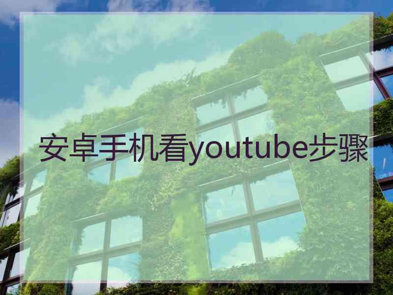 安卓手机看youtube步骤