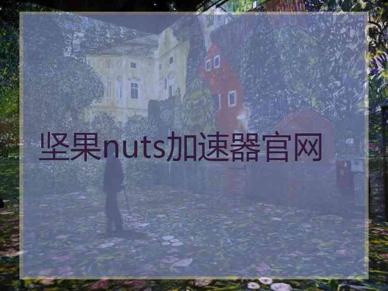 坚果nuts加速器官网