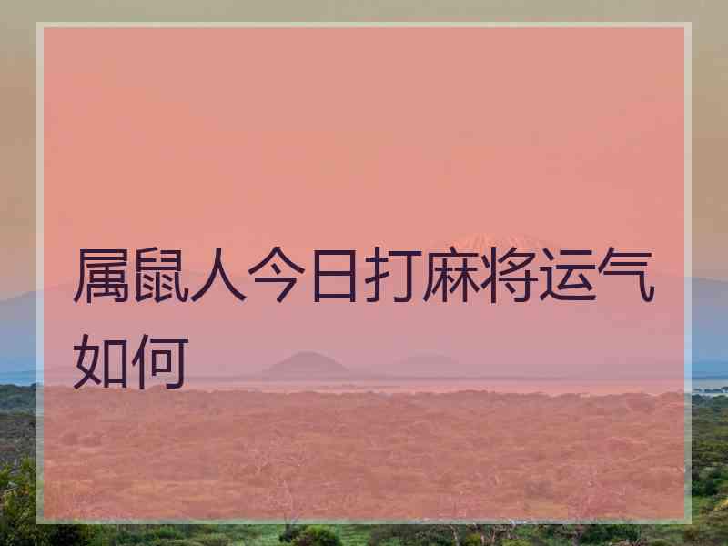 属鼠人今日打麻将运气如何