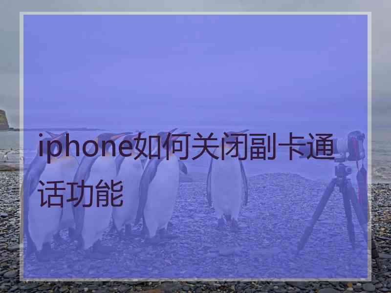 iphone如何关闭副卡通话功能