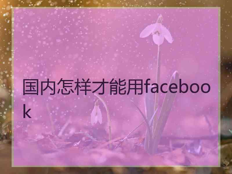 国内怎样才能用facebook