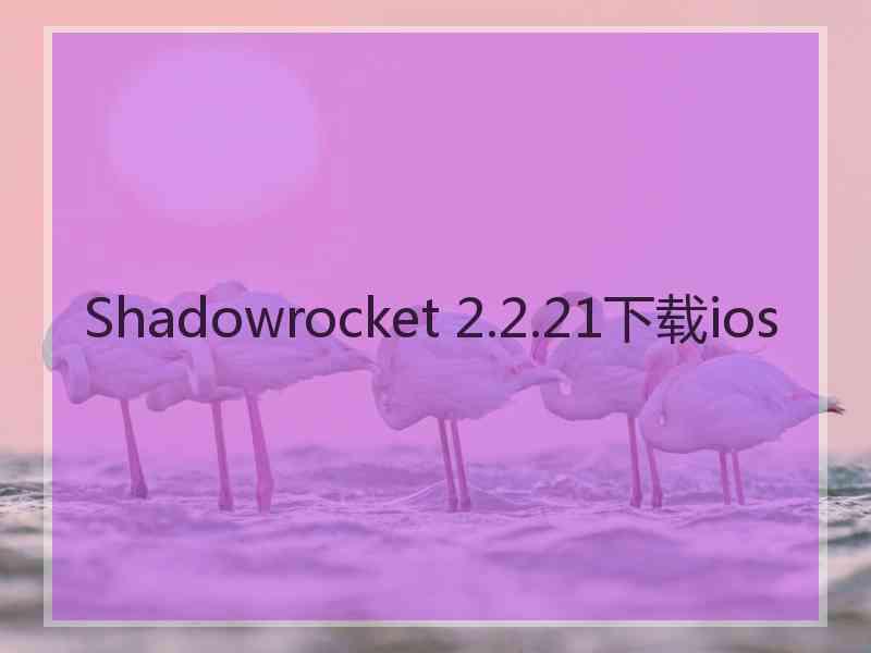 Shadowrocket 2.2.21下载ios