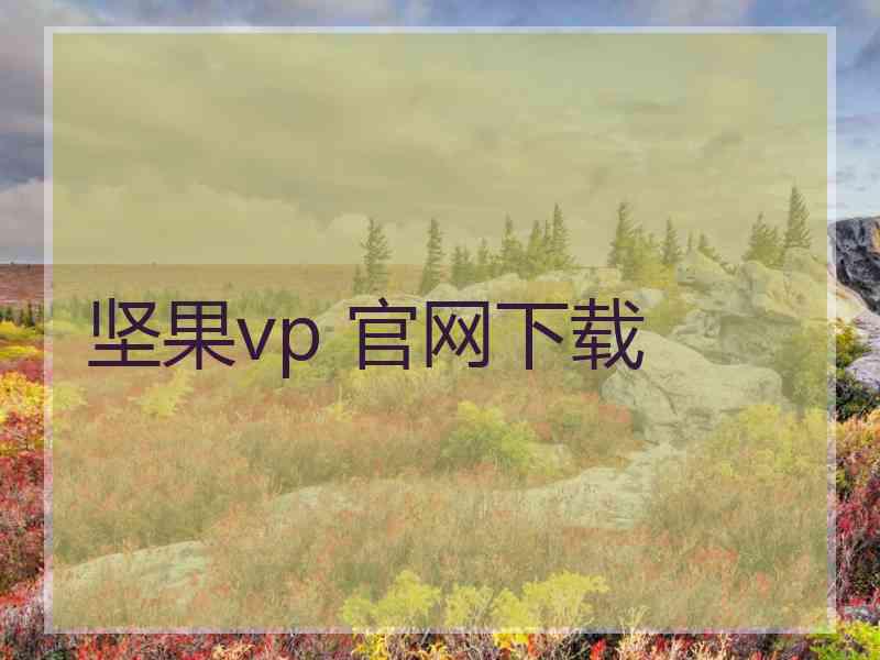 坚果vp 官网下载