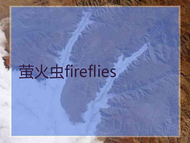 萤火虫fireflies