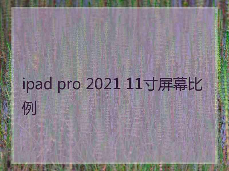 ipad pro 2021 11寸屏幕比例