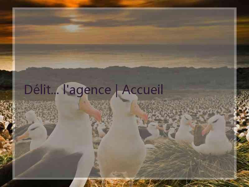 Délit... l'agence | Accueil