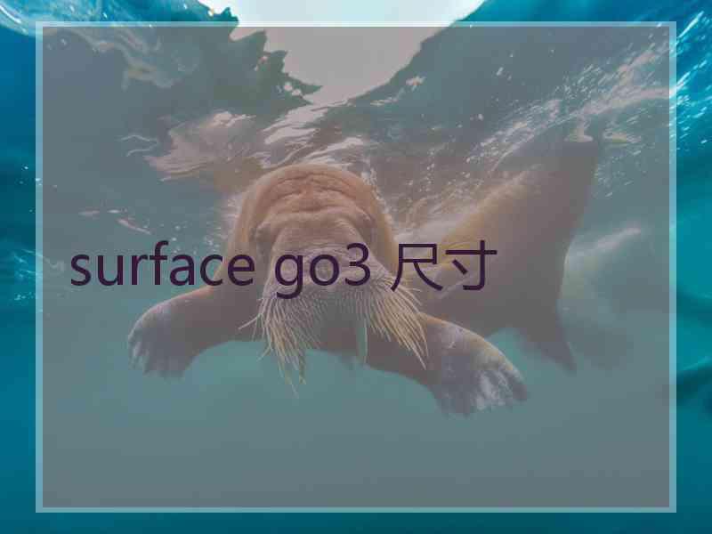 surface go3 尺寸