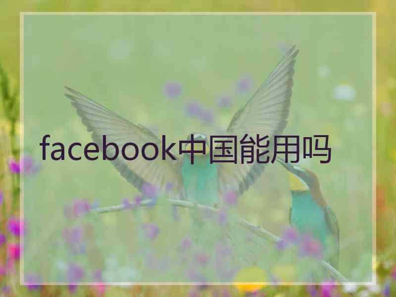 facebook中国能用吗