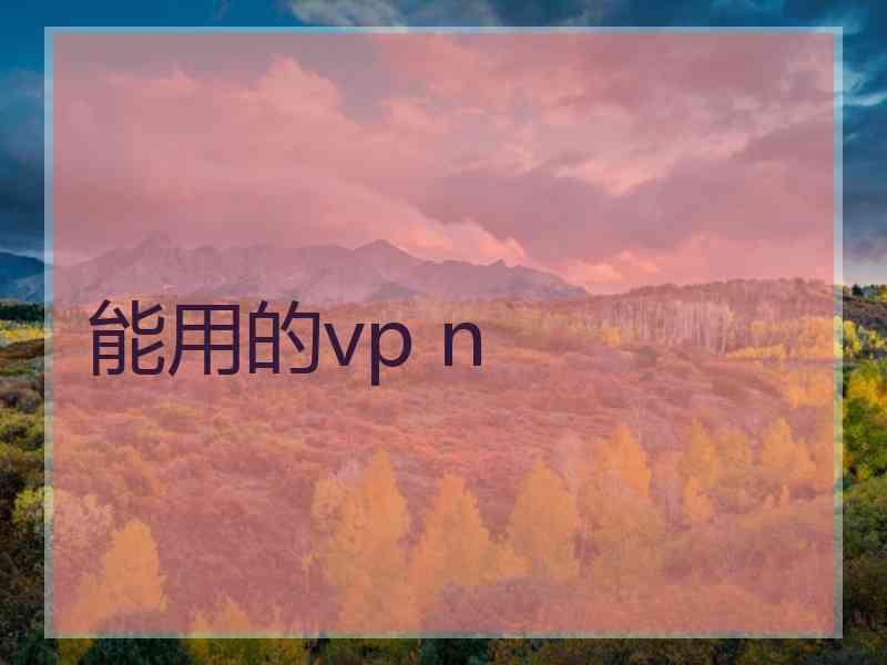 能用的vp n