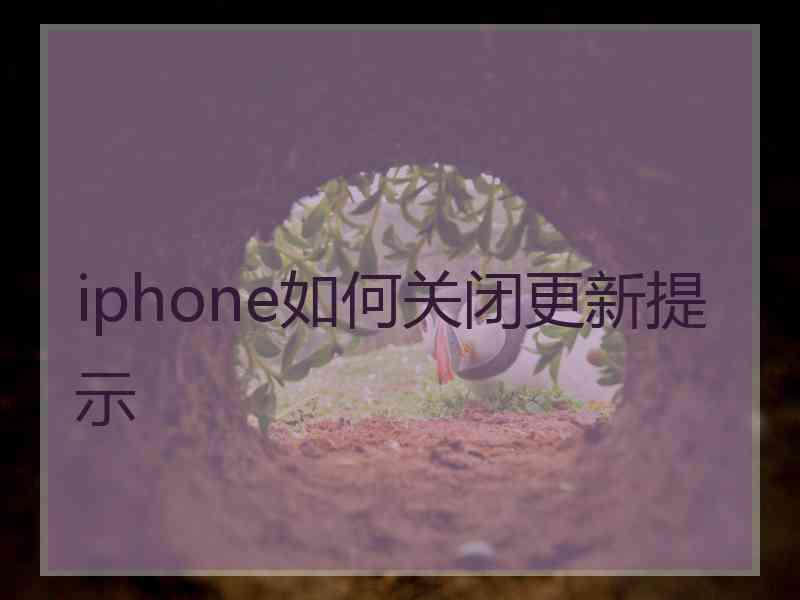 iphone如何关闭更新提示