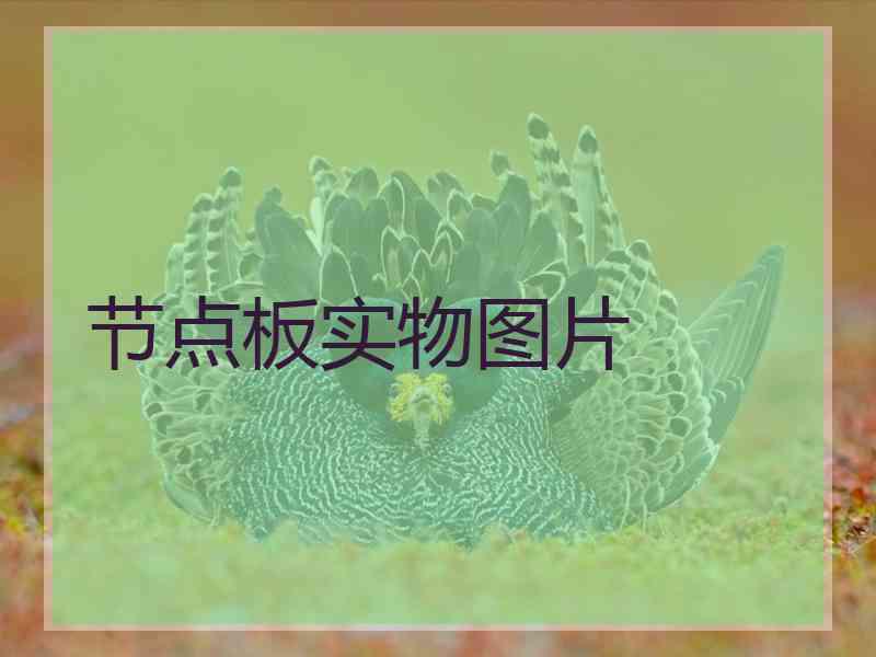 节点板实物图片