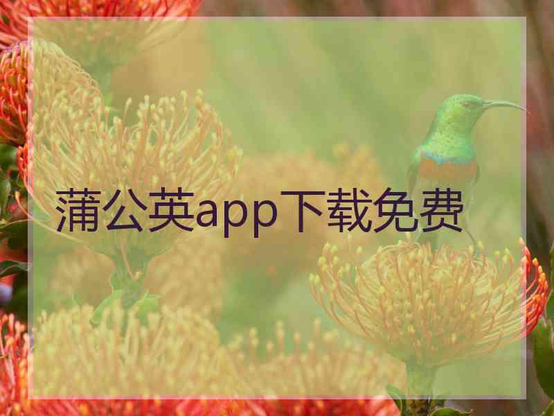 蒲公英app下载免费