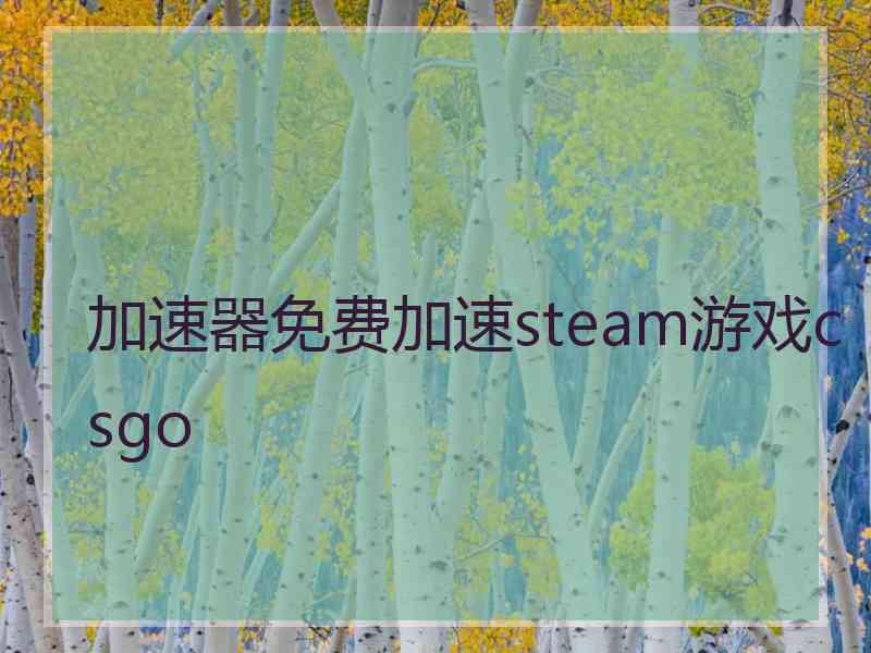 加速器免费加速steam游戏csgo