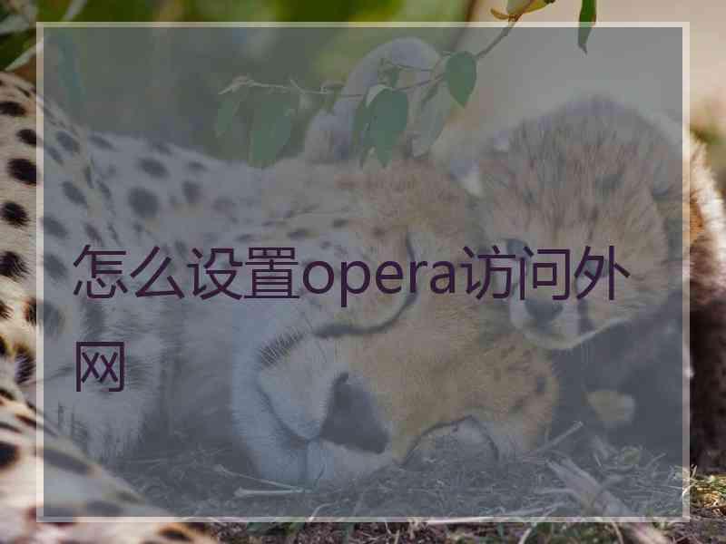 怎么设置opera访问外网