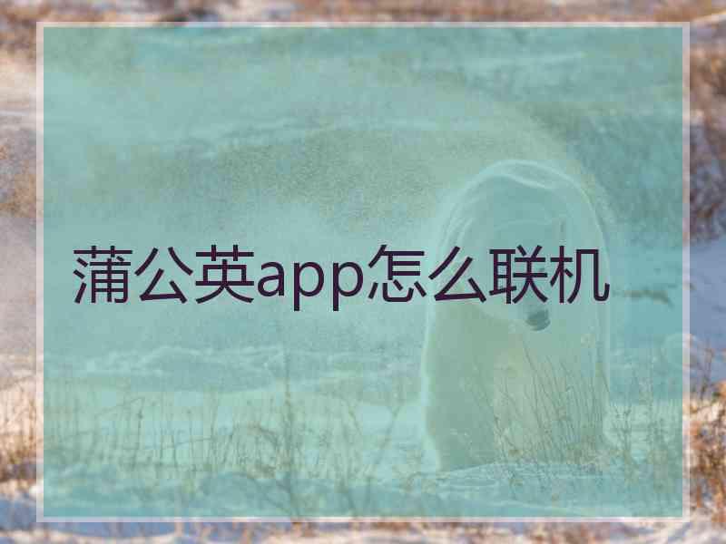 蒲公英app怎么联机