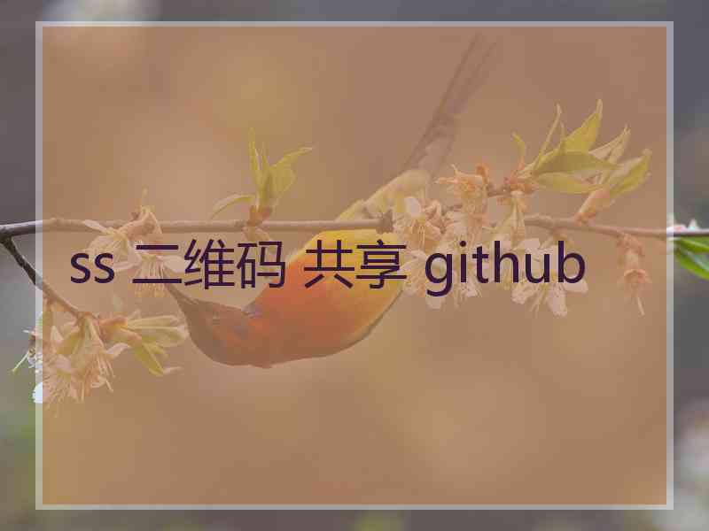 ss 二维码 共享 github