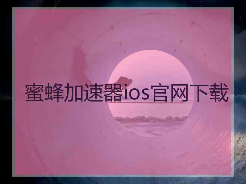 蜜蜂加速器ios官网下载