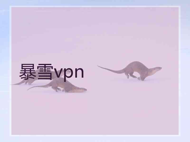 暴雪vpn