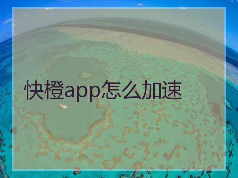 快橙app怎么加速