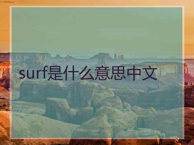 surf是什么意思中文