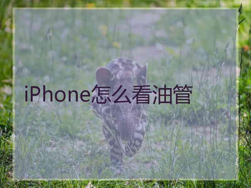 iPhone怎么看油管